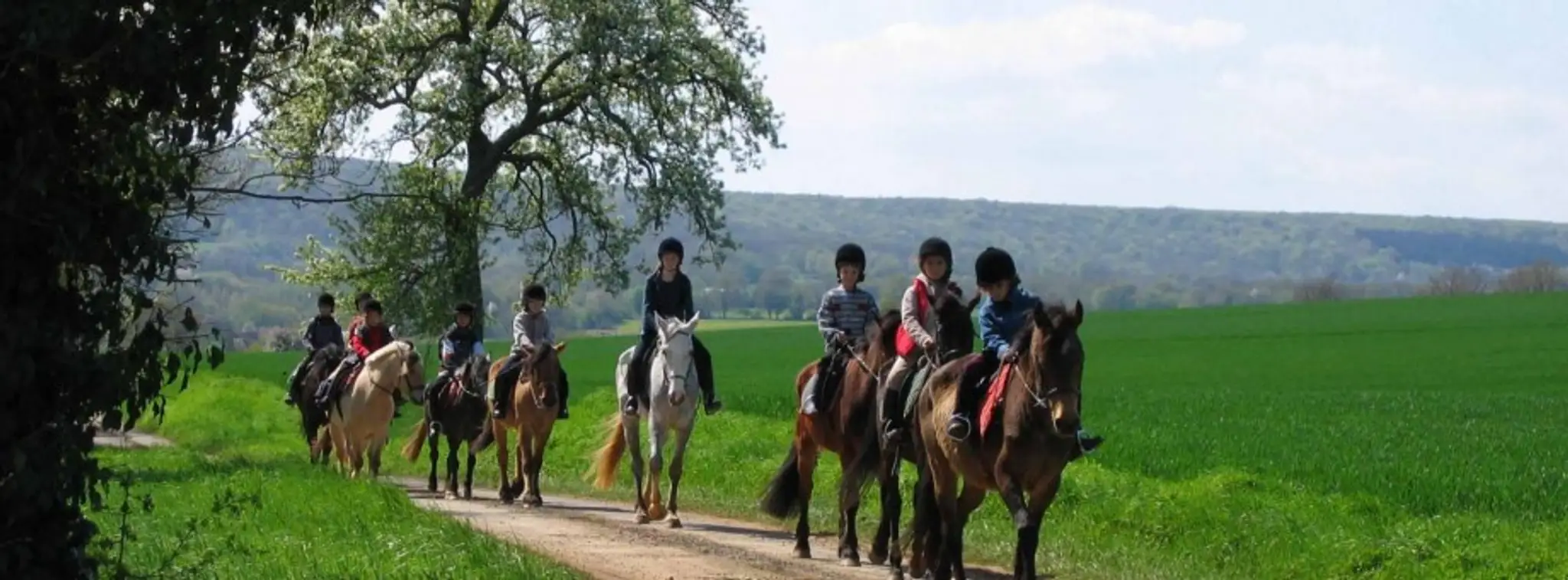 Loire Nature Découverte