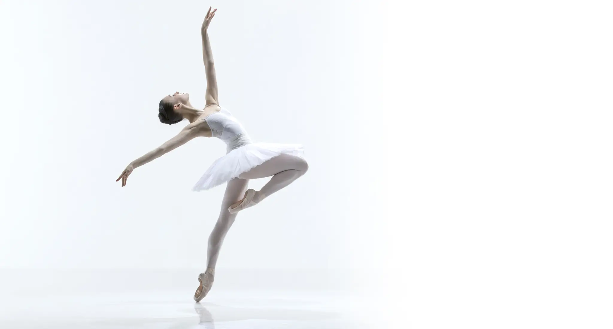 Annette Roselli Dance Academy