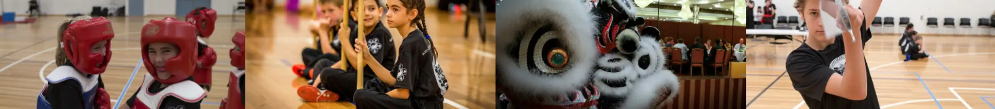 Black Lion Martial Arts