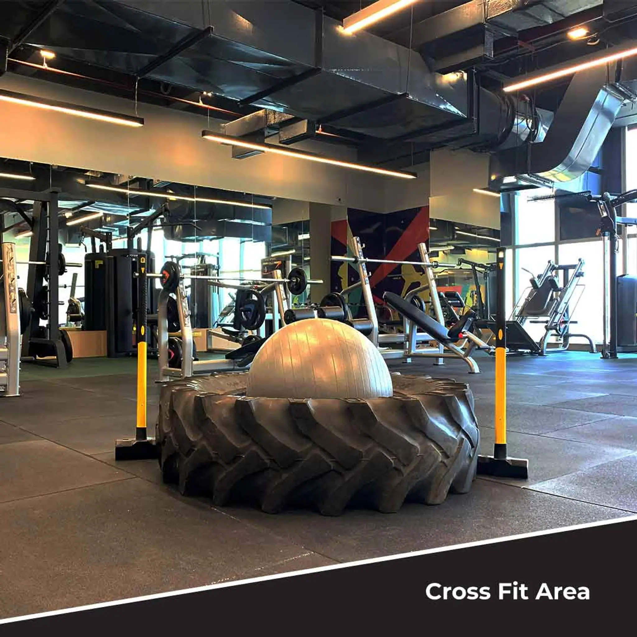 Fitness@D21 | Best Gym in Dwarka | Fitness Gym in Dwarka | Gyms near me