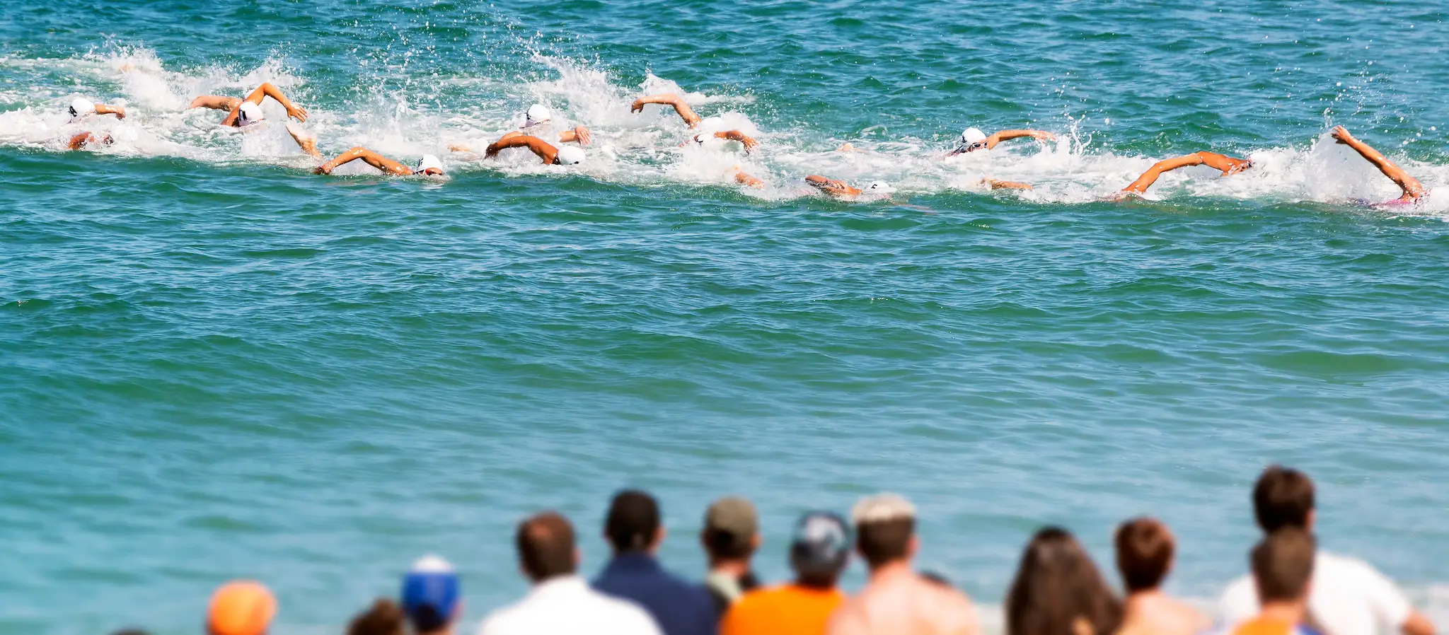 Fdration de natation du Qubec