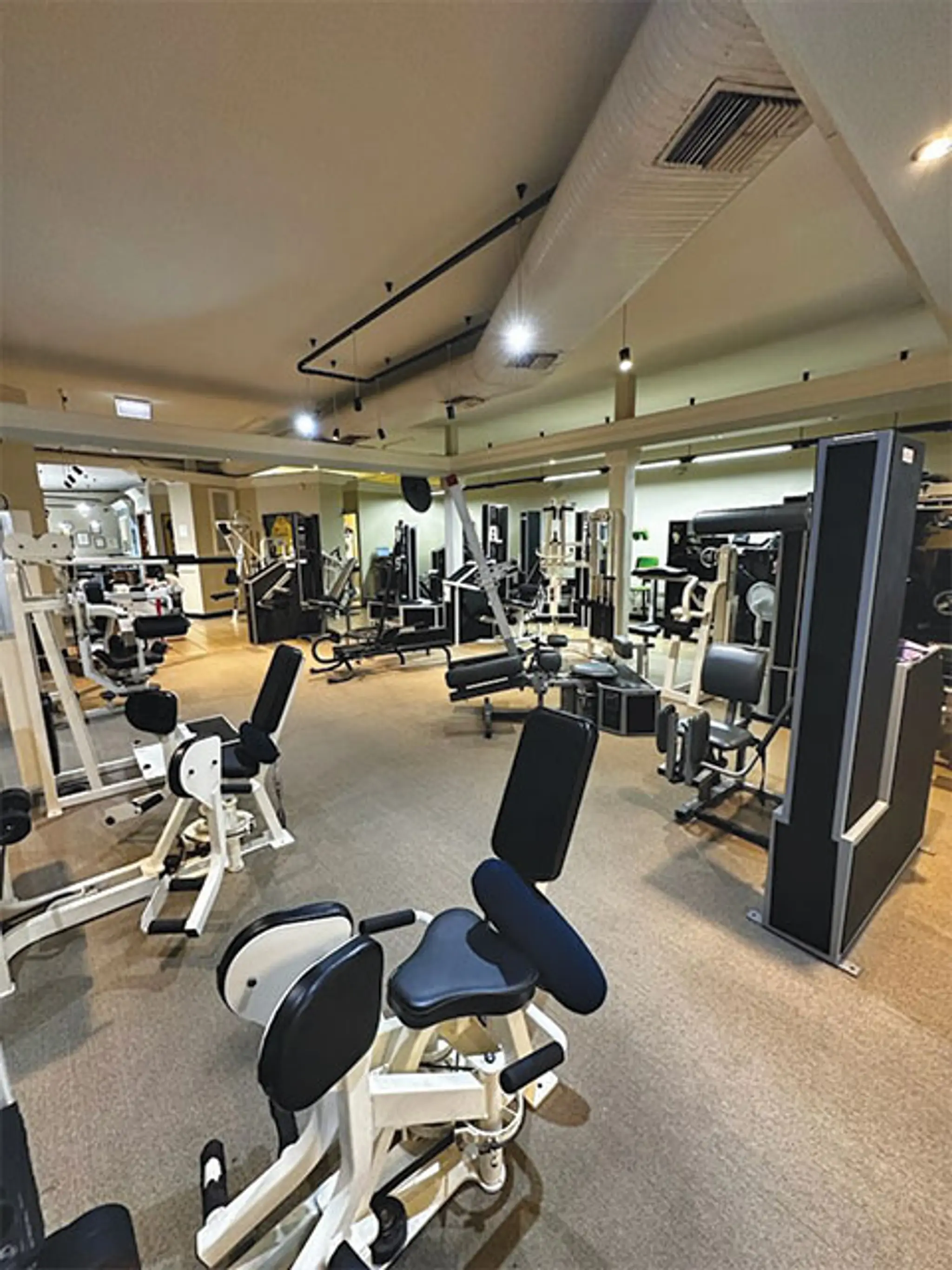 Beecroft Physiotherapy