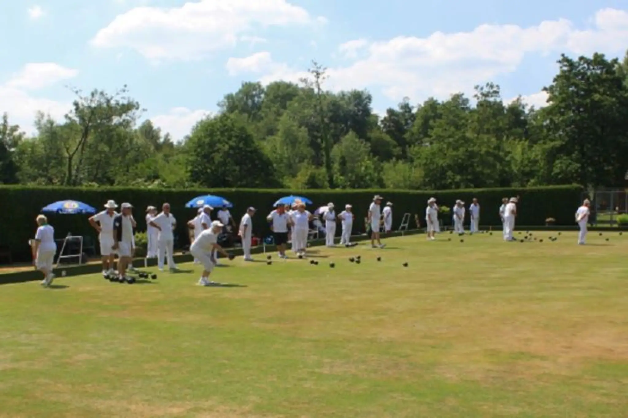 Hyde Abbey Bowls