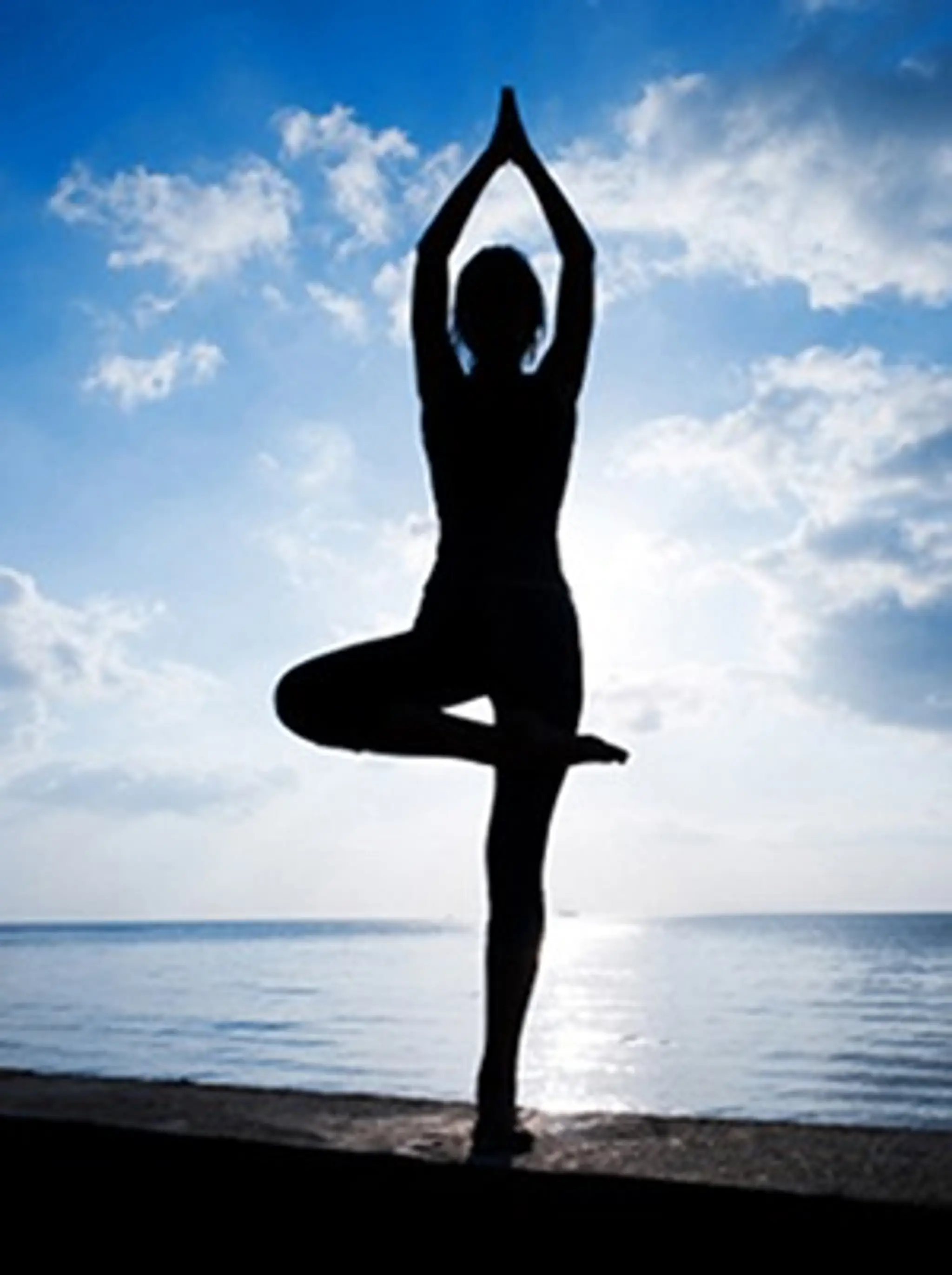 Yoga Vedavyasa Rouen