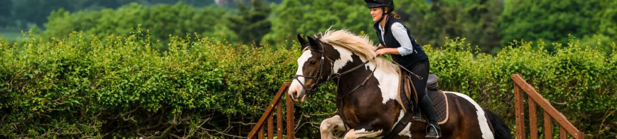 Noakes Farm Riding Centre