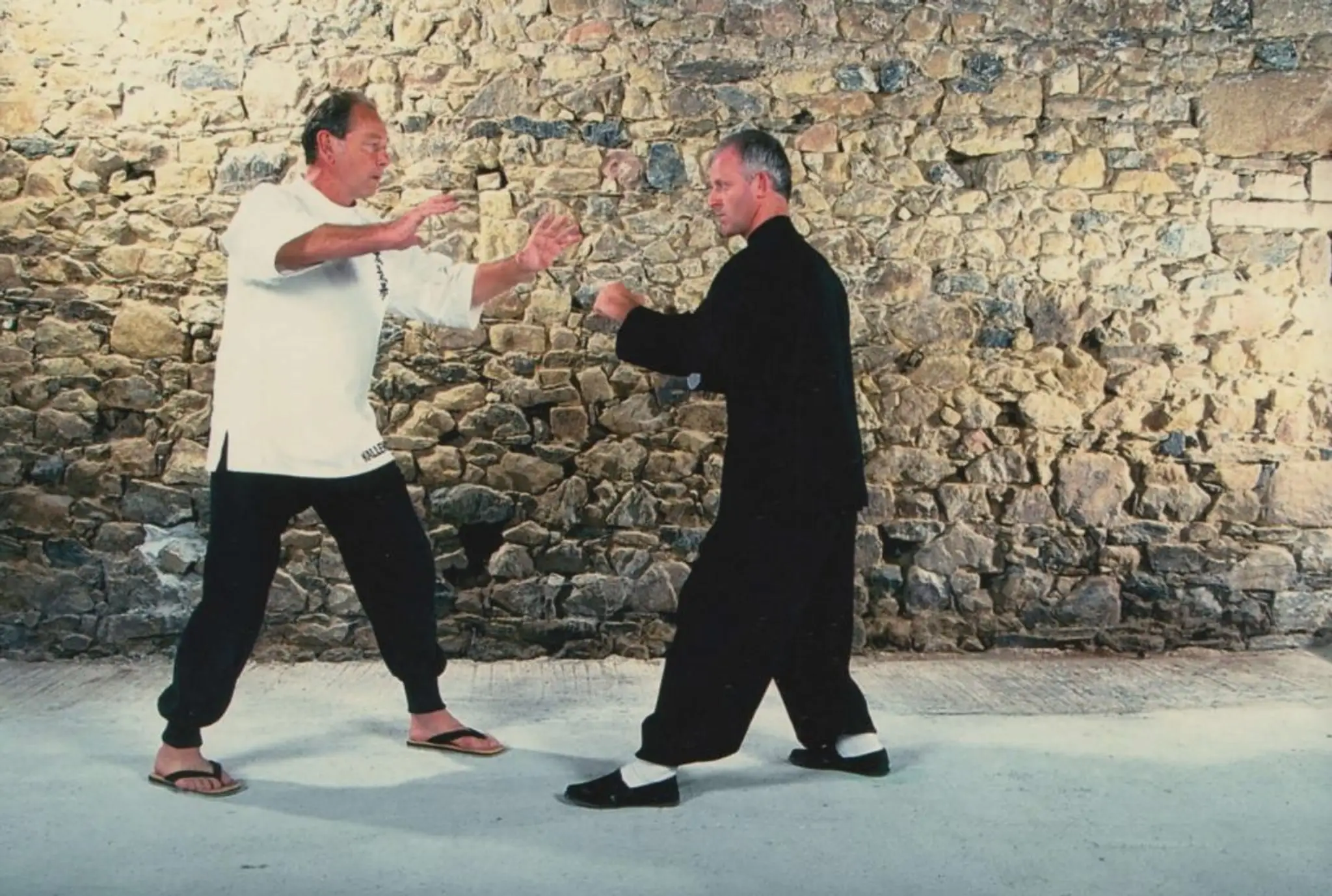 Anyda : Tai Chi Qi Gong Kung-Fu Lutte Chinoise