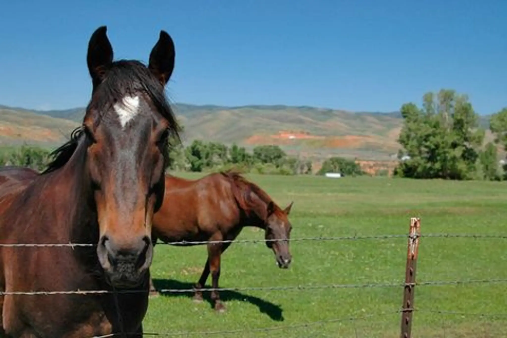 Sandwell Valley Riding Centre