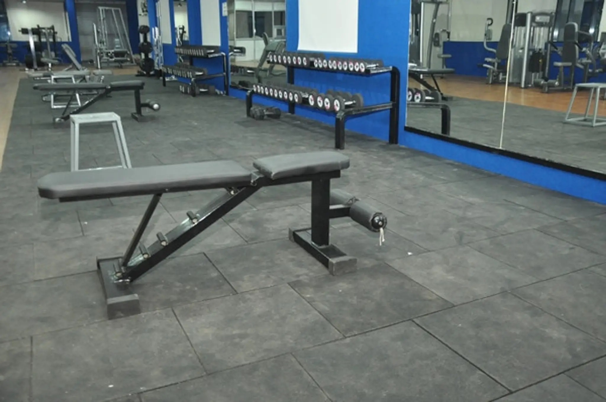 Action Perfection Fitness Club