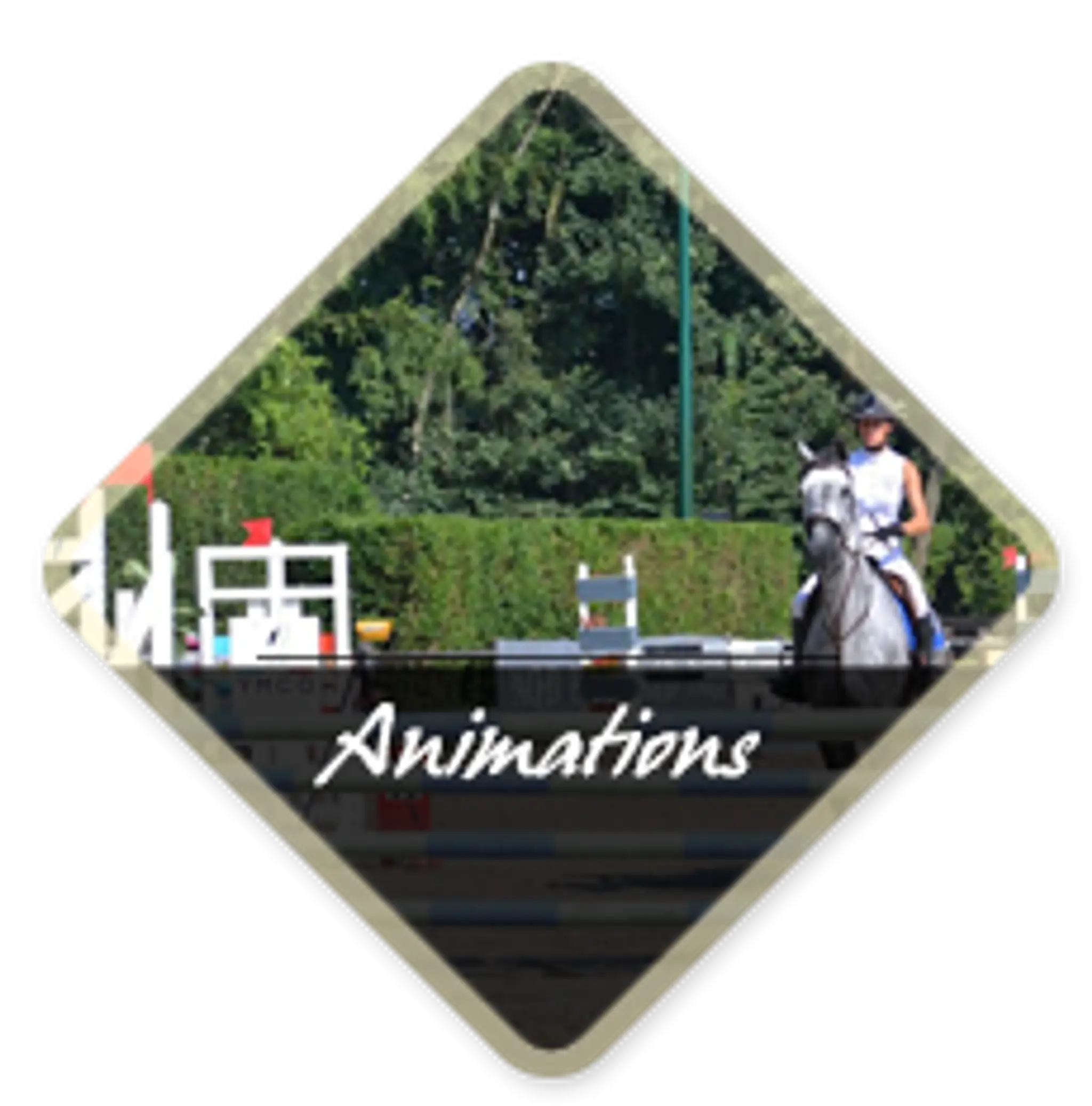 Roubaix Equitation