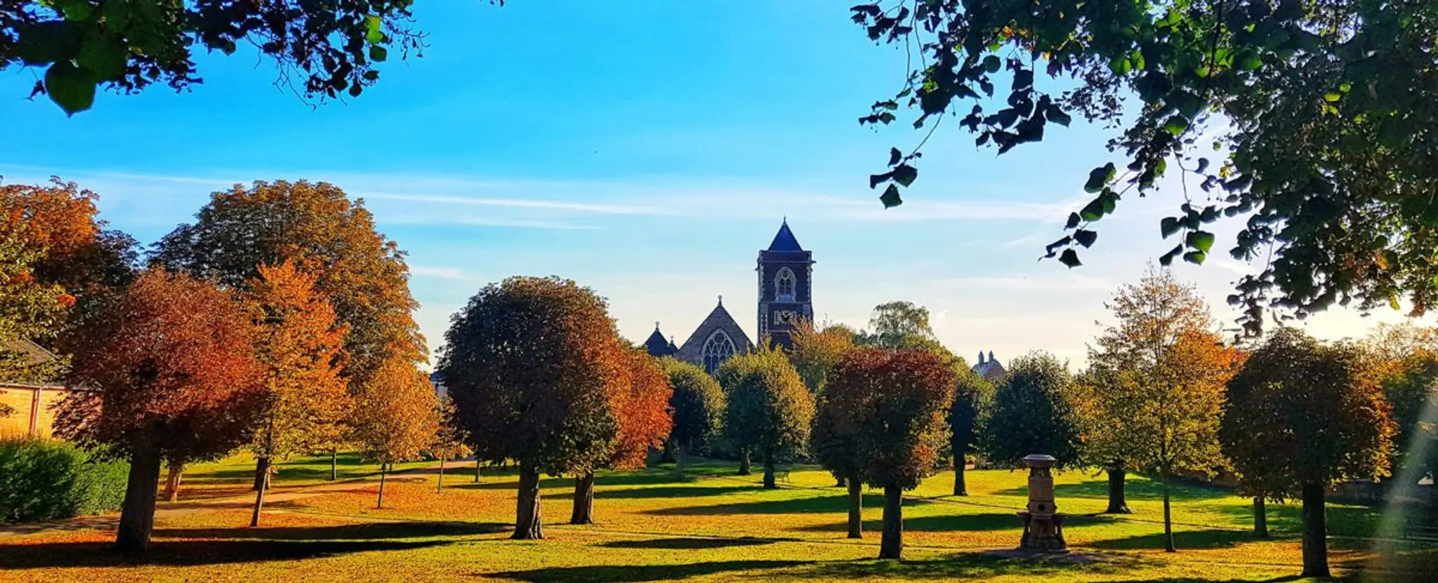 Vandyke Road Bike jumps