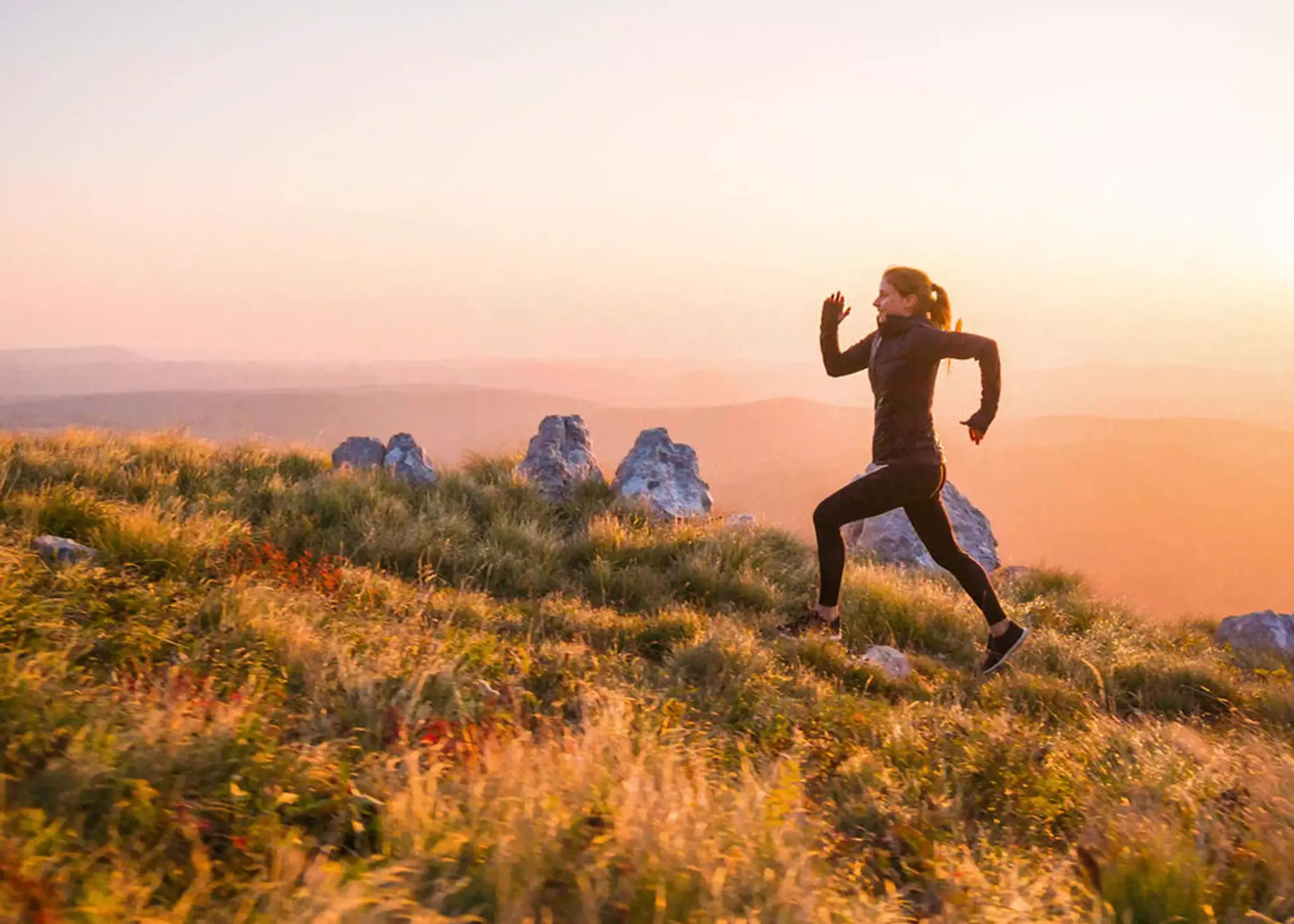 HP Personal Training