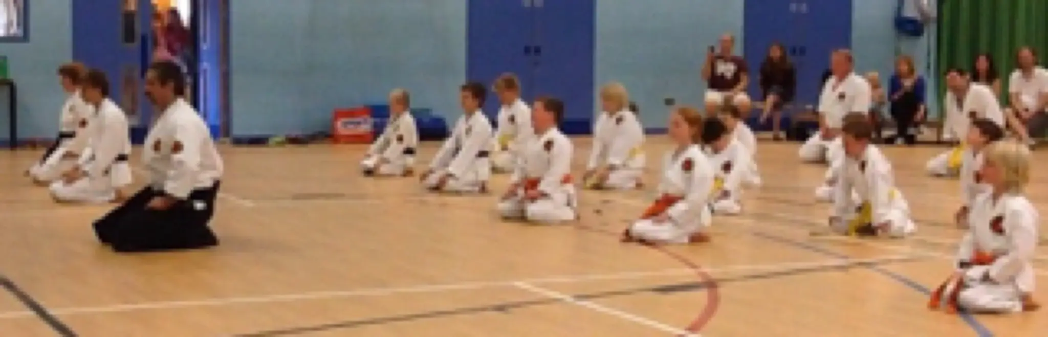 Sussex Karate