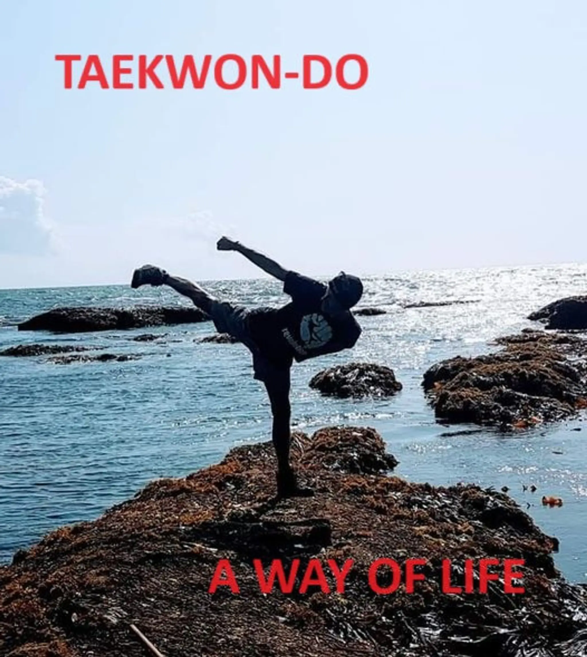 AETA ITF Taekwon-Do Alton