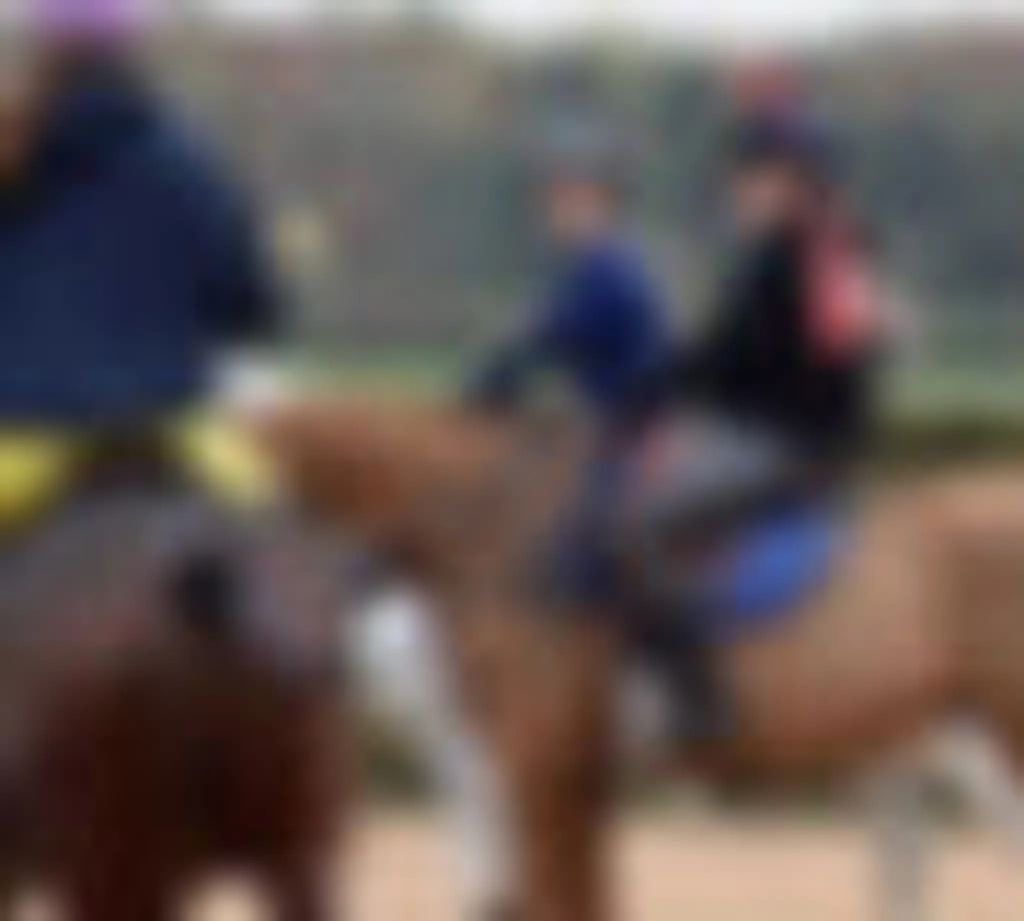 University of Nottingham Polo Club