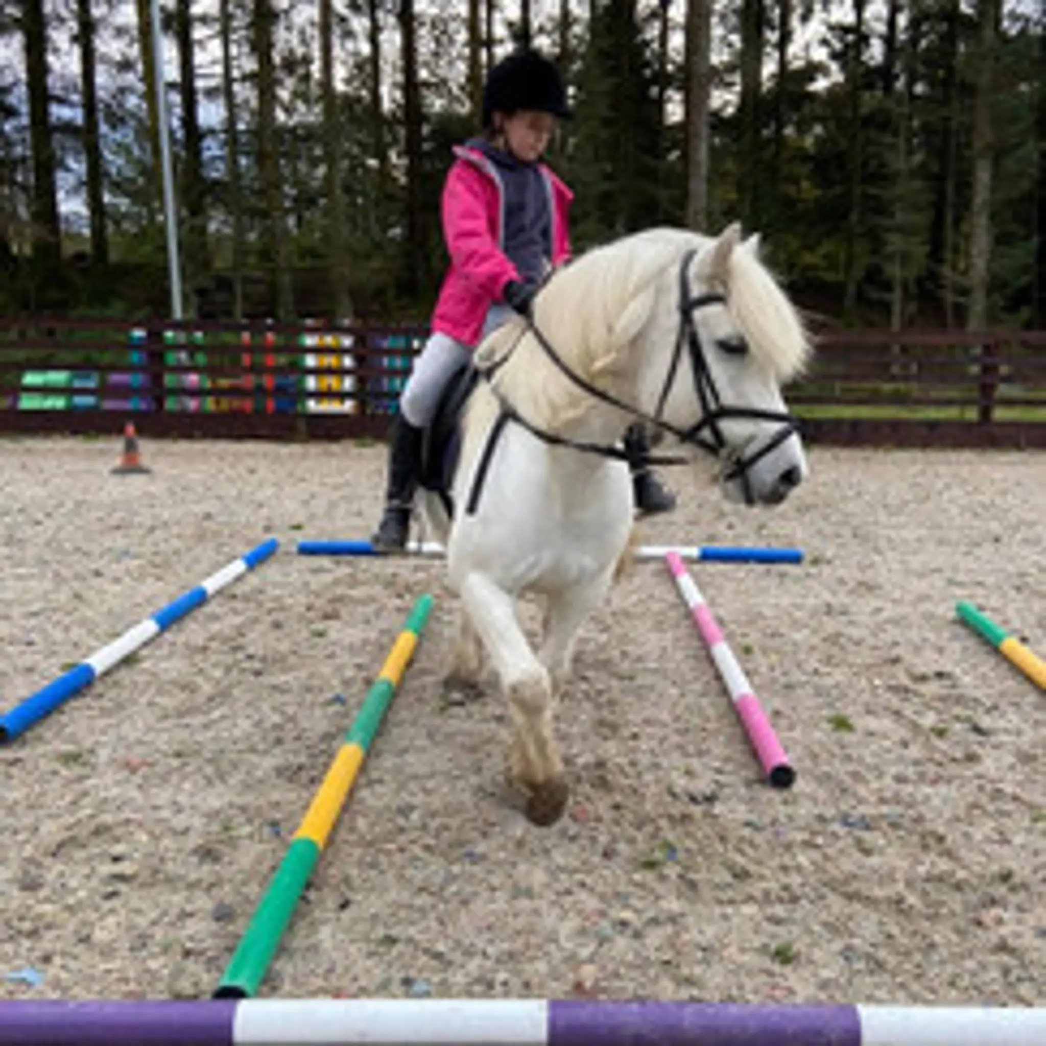 Achnalarig Riding Stables