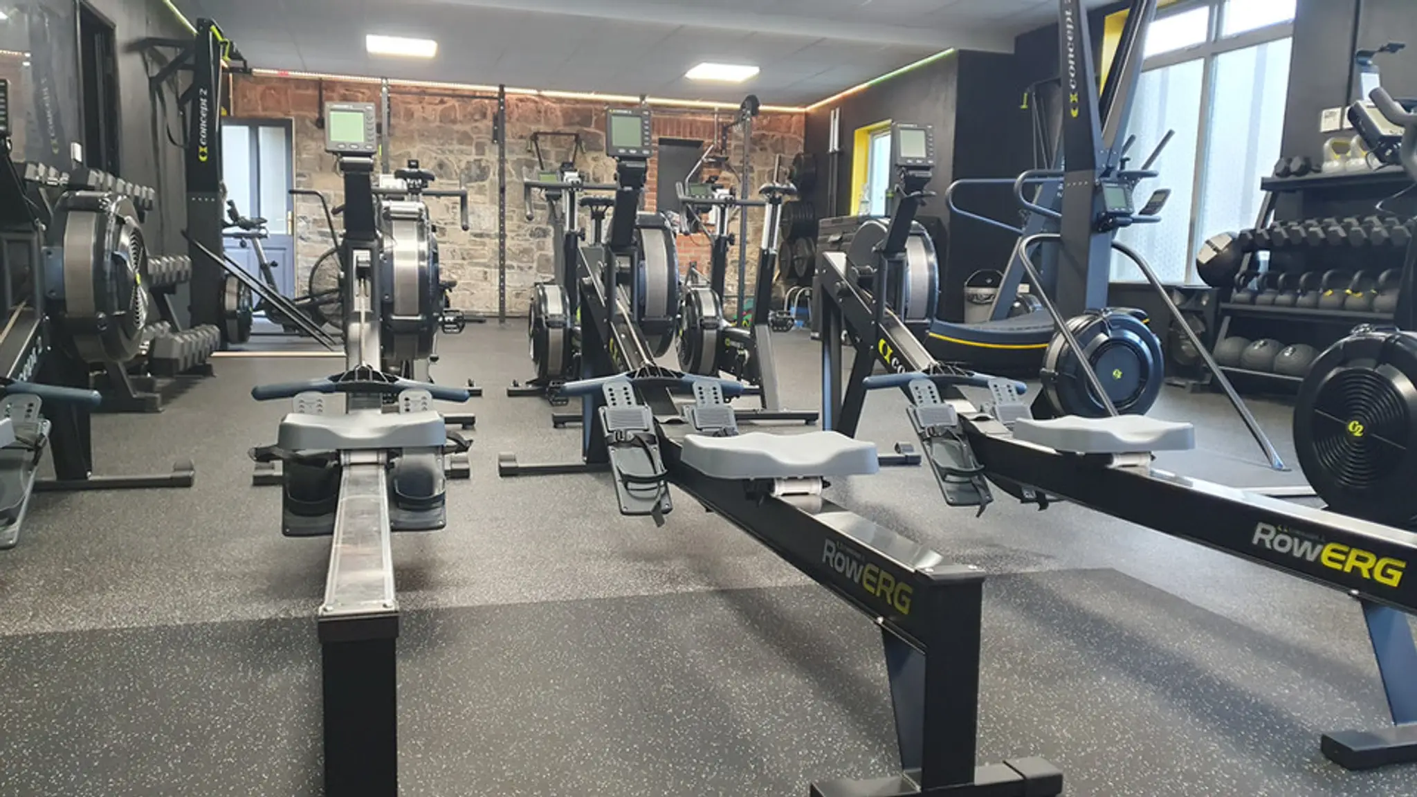 ROR Fitness and Therapy