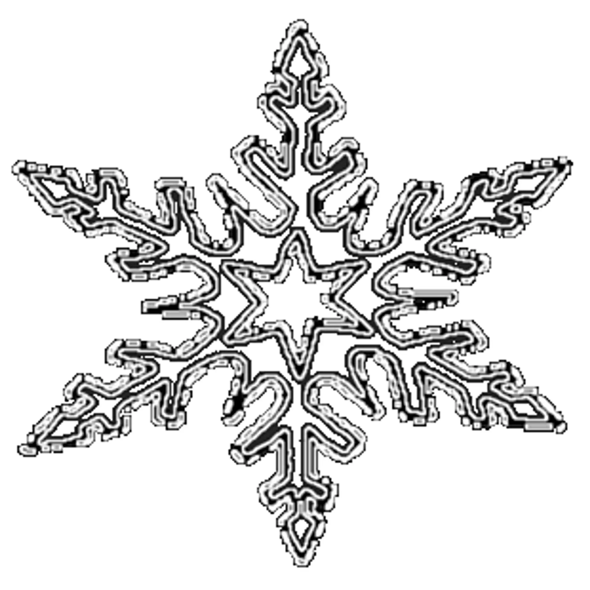 Anna Snow Personal Training