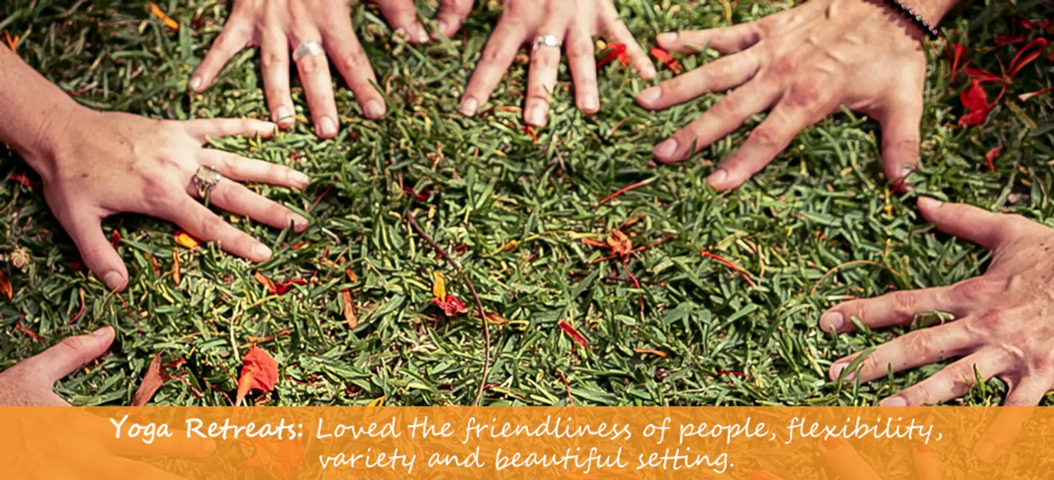 Amber Tree Yoga and Retreats