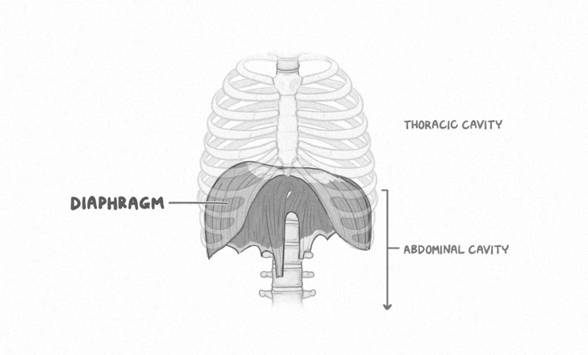 CrossFit Urban Energy | Coomera