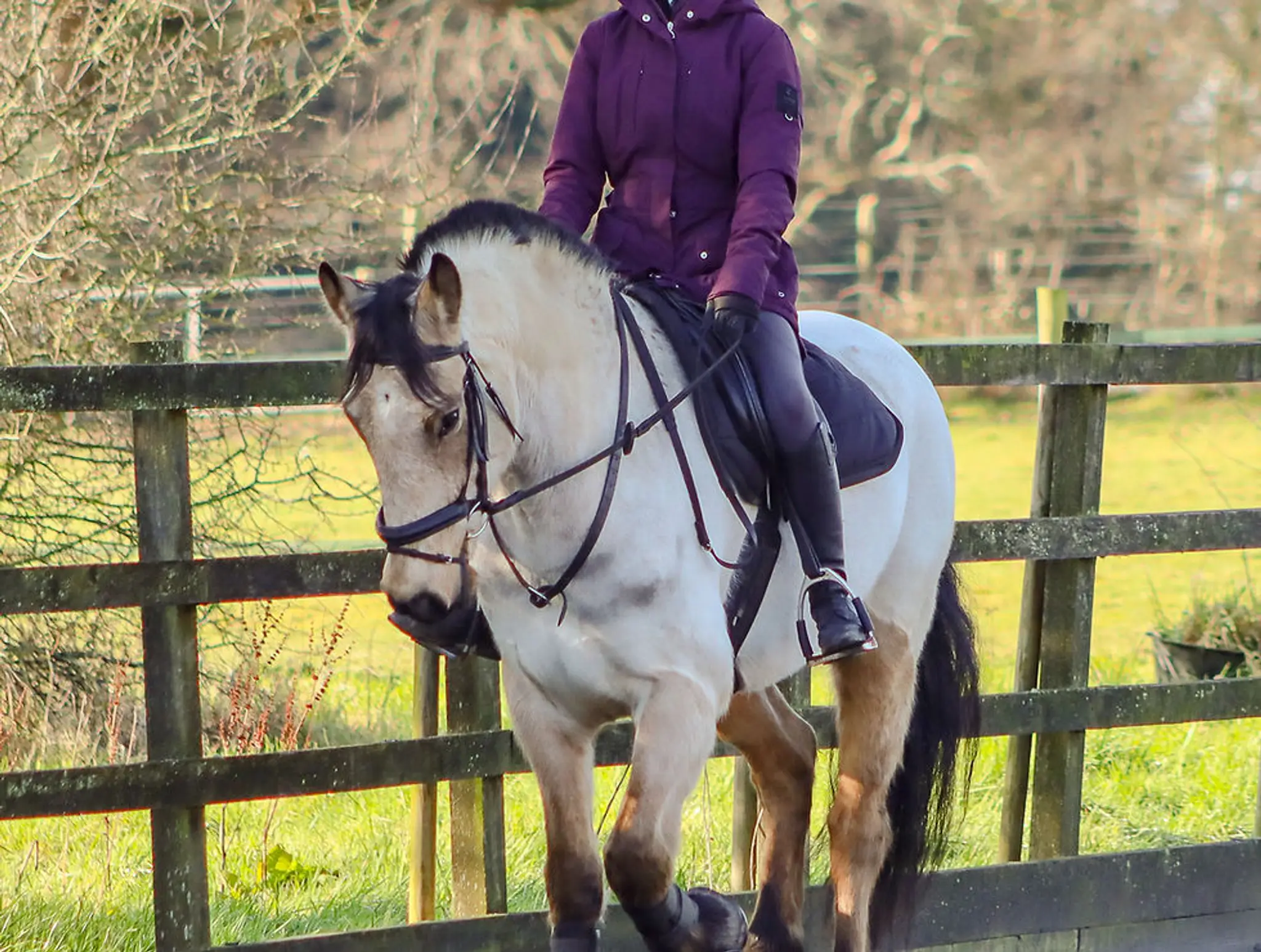 Catherington Equestrian Centre