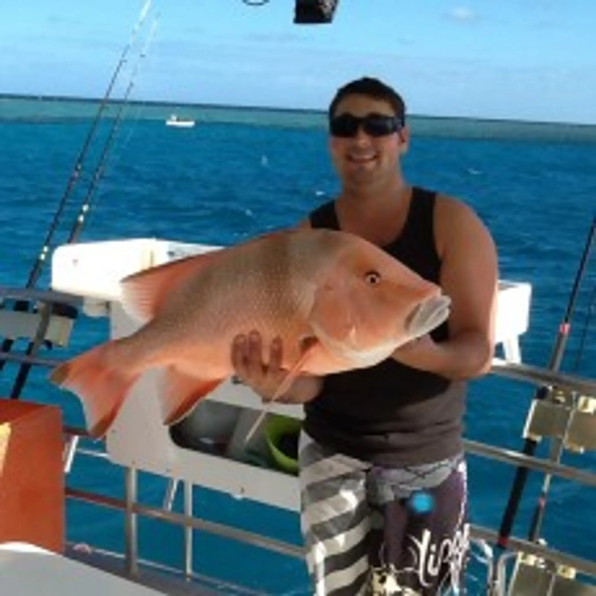 Gladstone Coral Charters
