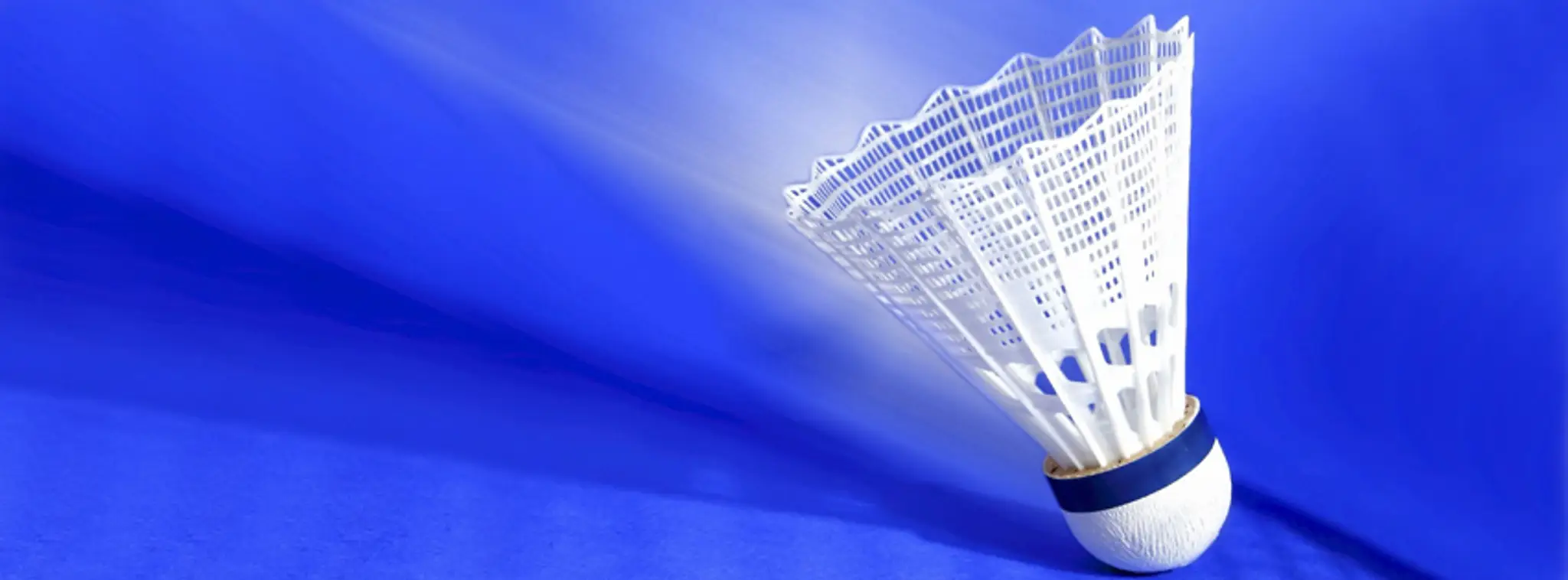 Tadcaster 86 Badminton Club
