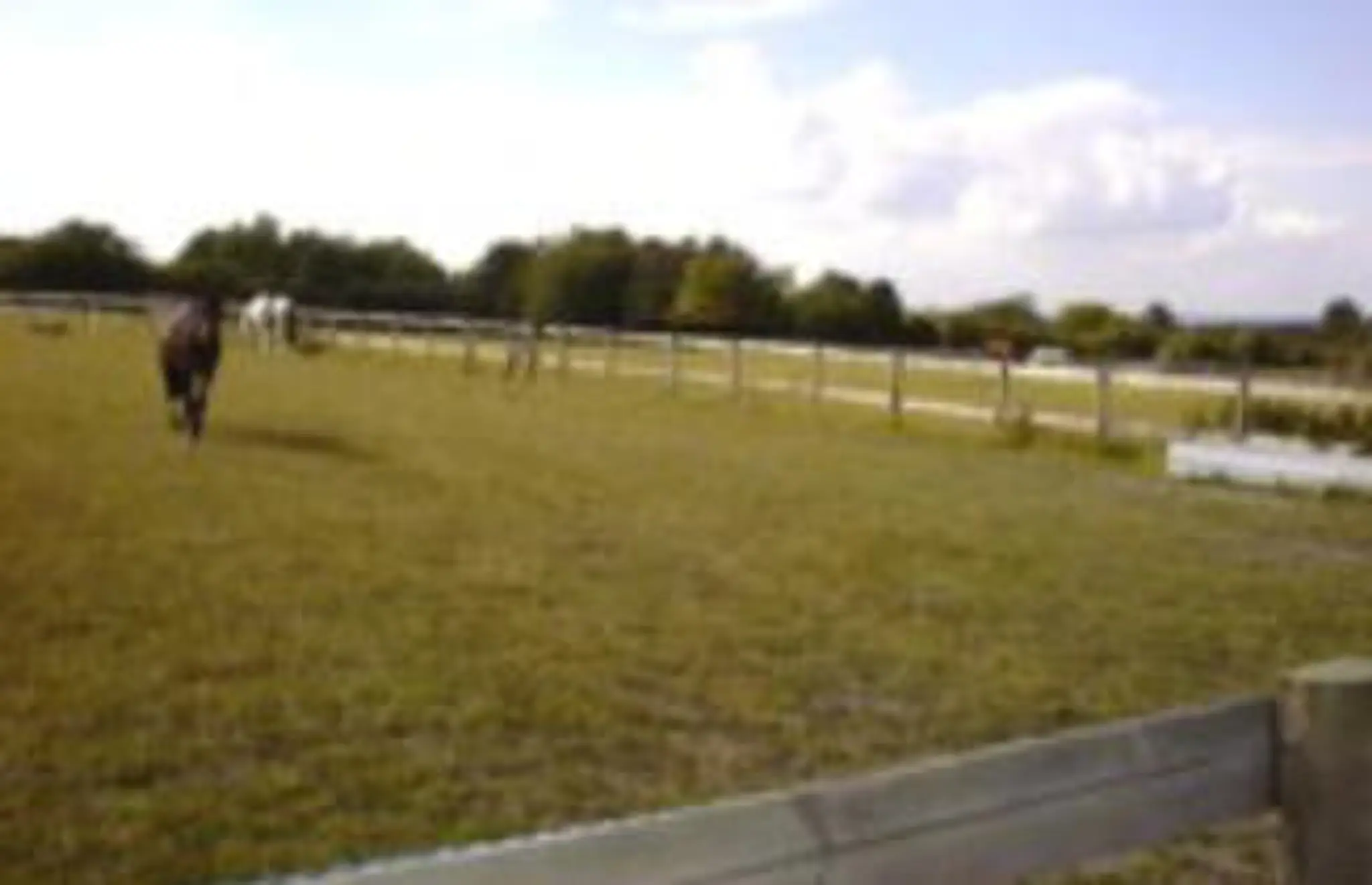 Silverdown Stables and Livery Yard