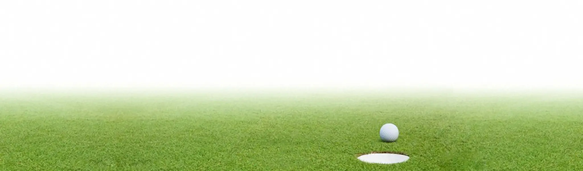 Torkos Brothers Inc / TNT Golf