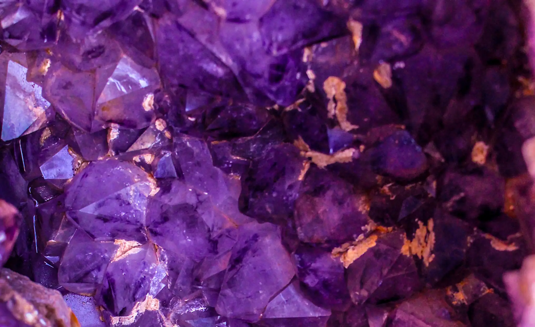 Fleur Estelle Belly Dance