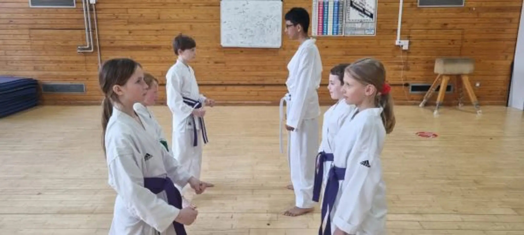 Boston Spa Karate Club