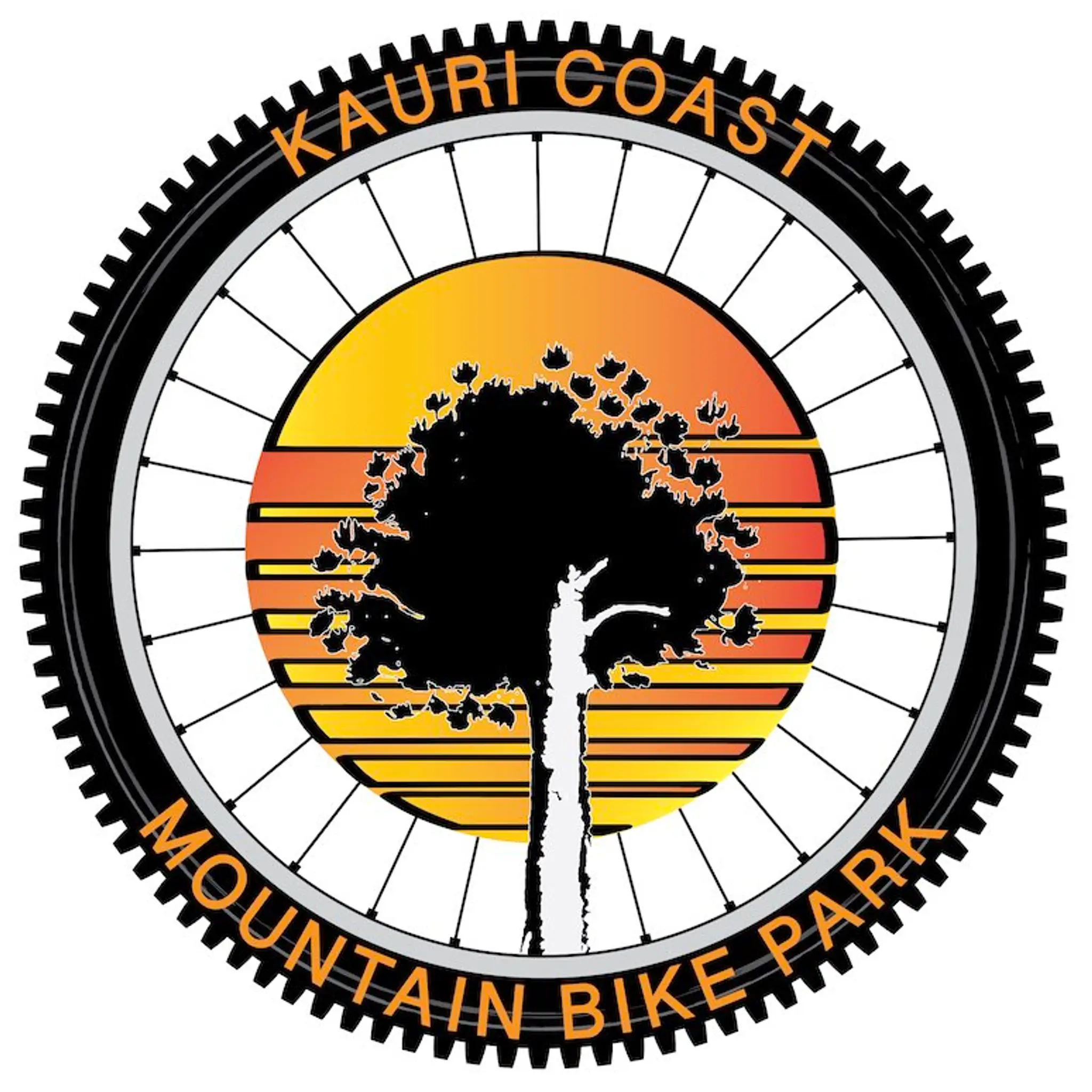 Kauri Coast Mountain Bike park