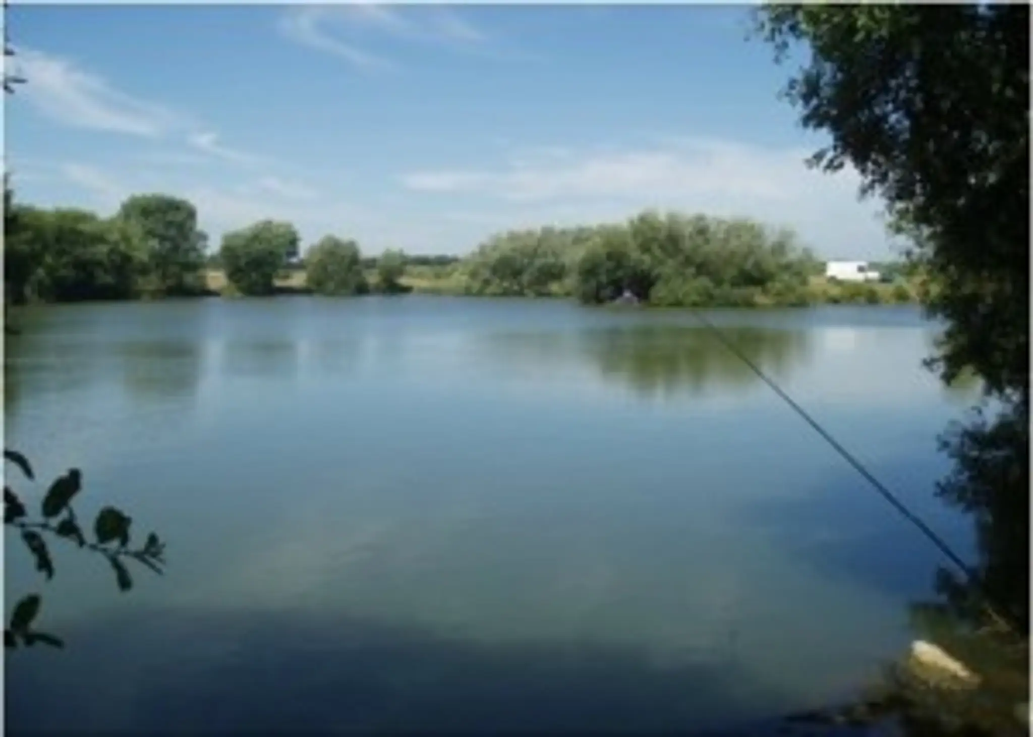 Bain Valley Carp Syndicates