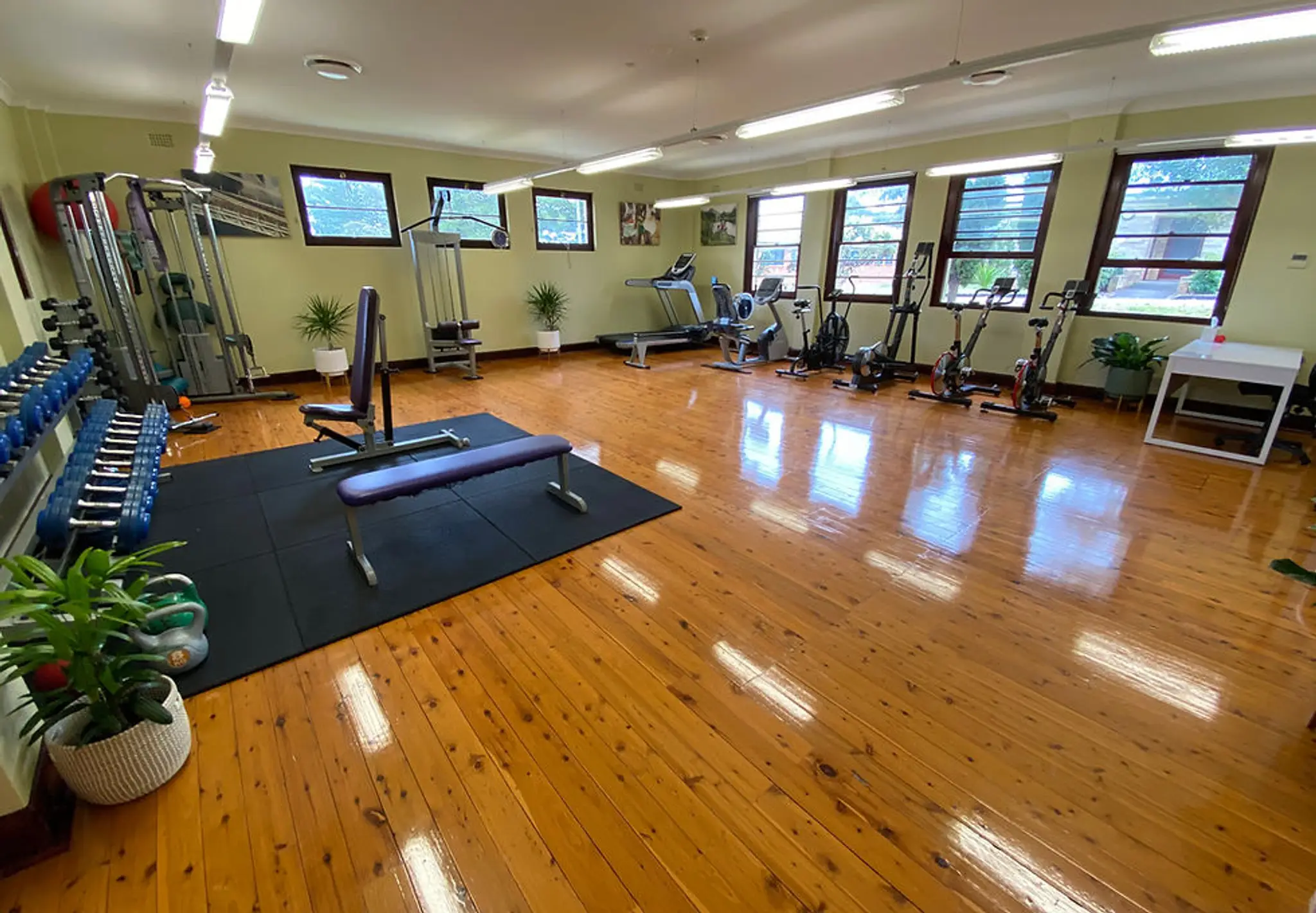 Forever Young Studios