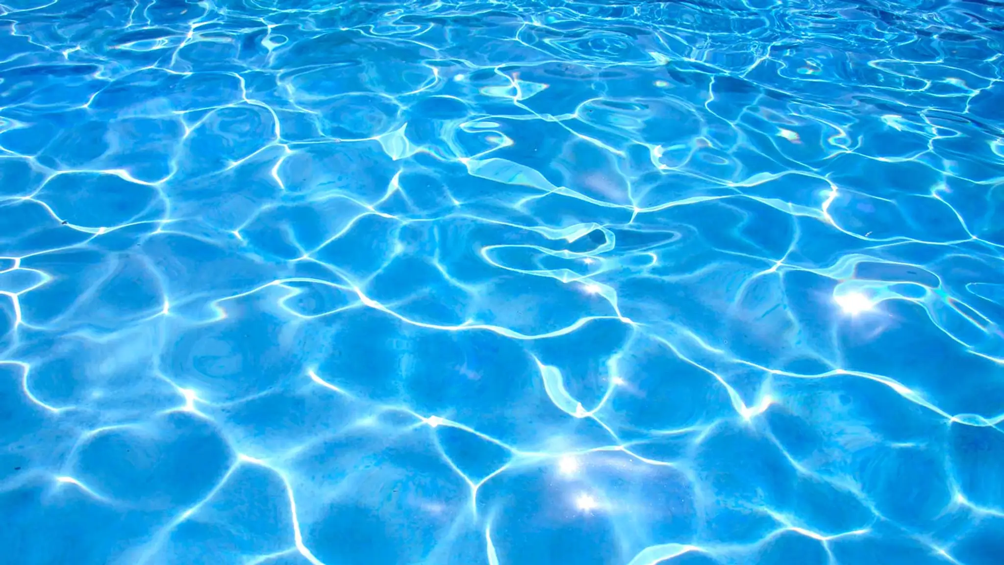 Les Ecuries Du Marottin