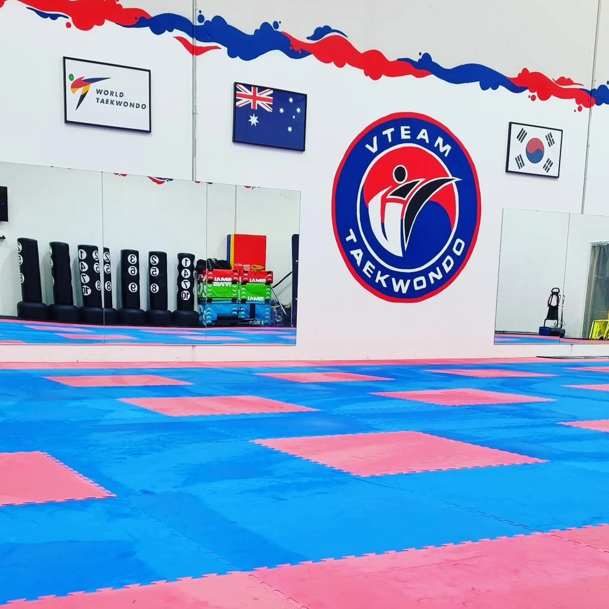 VTEAM Taekwondo Maidstone HQ