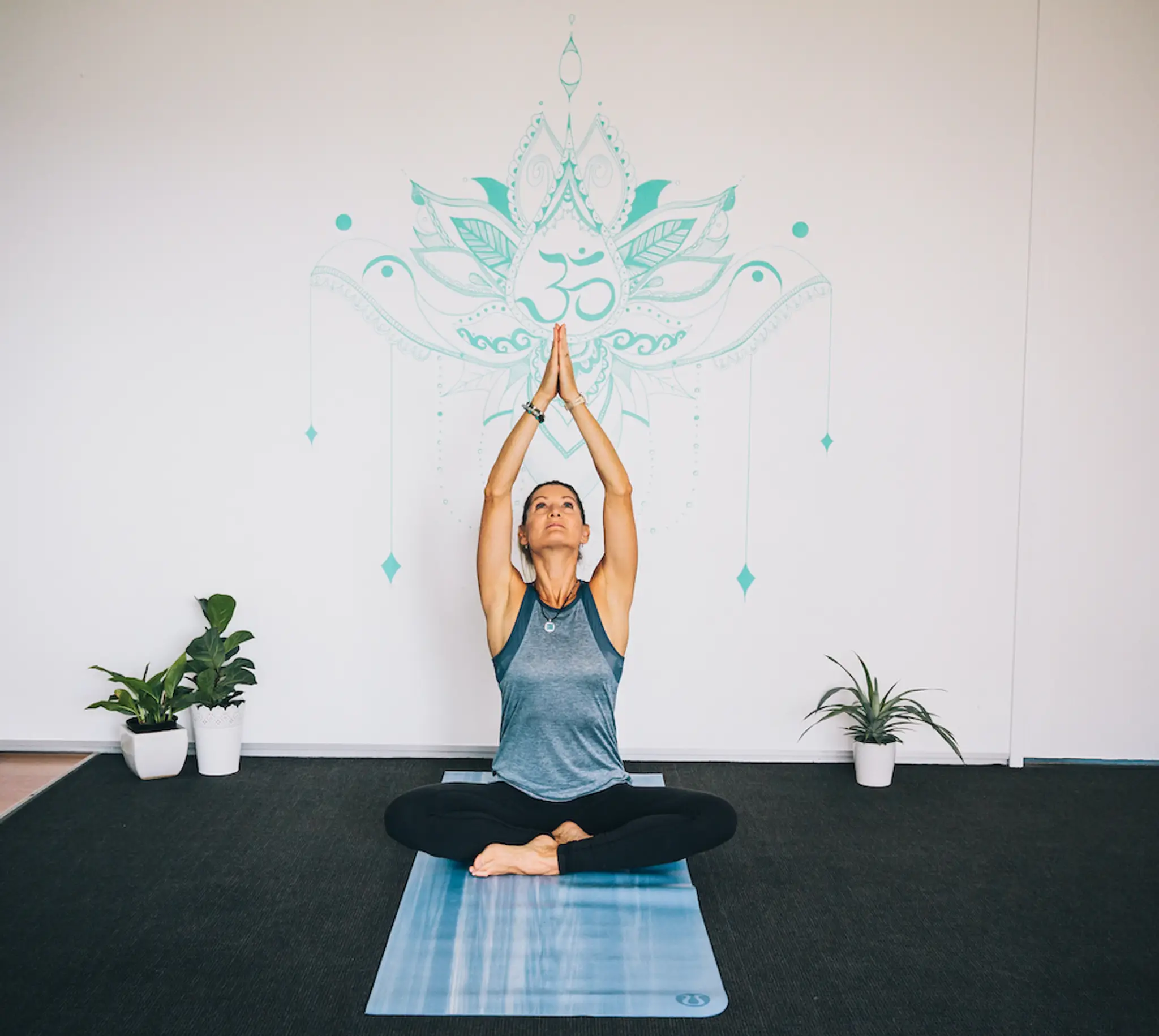 Elixir Wellness & North Beach Yoga