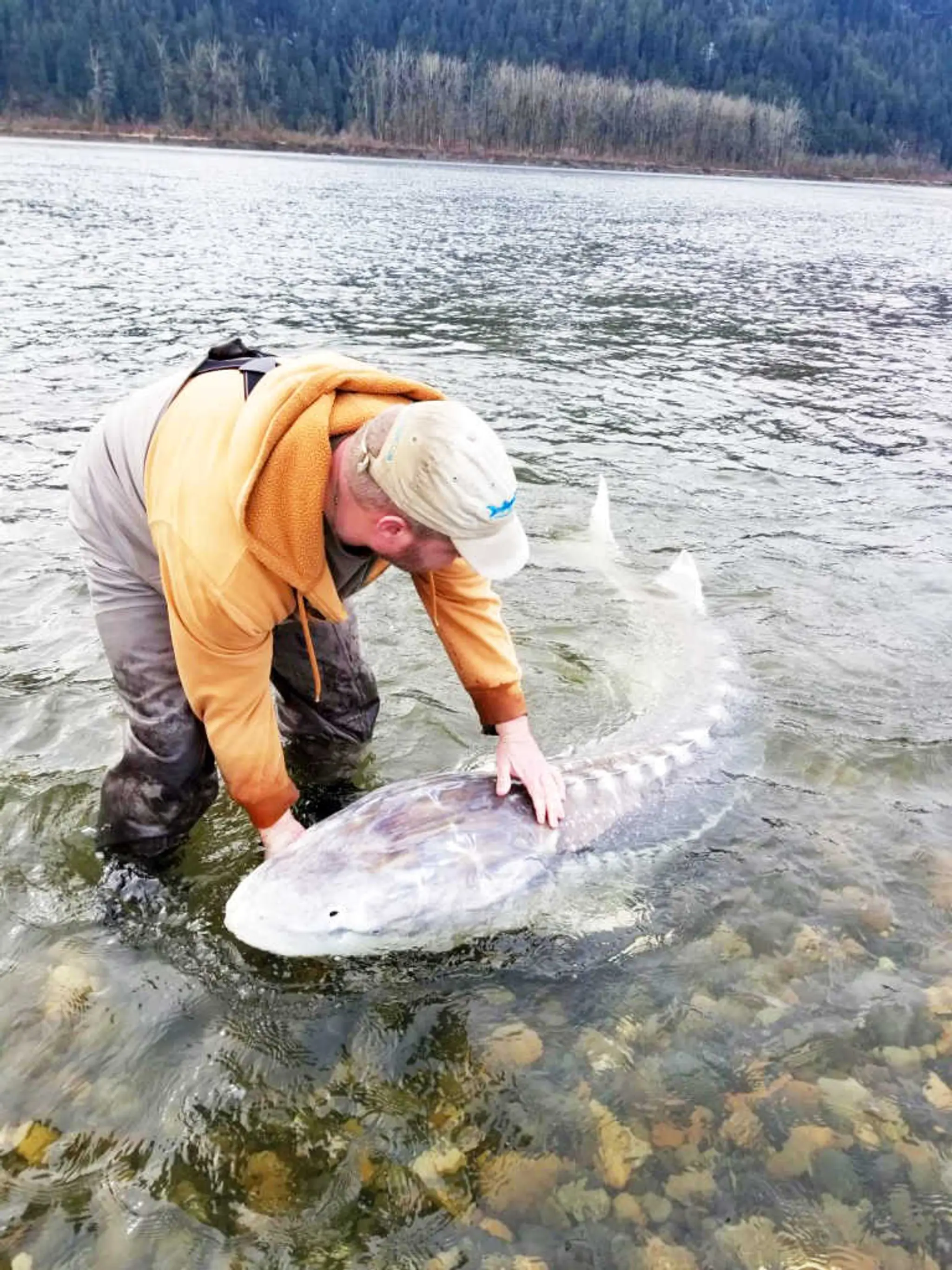 Big Valley Sportfishing Adventures