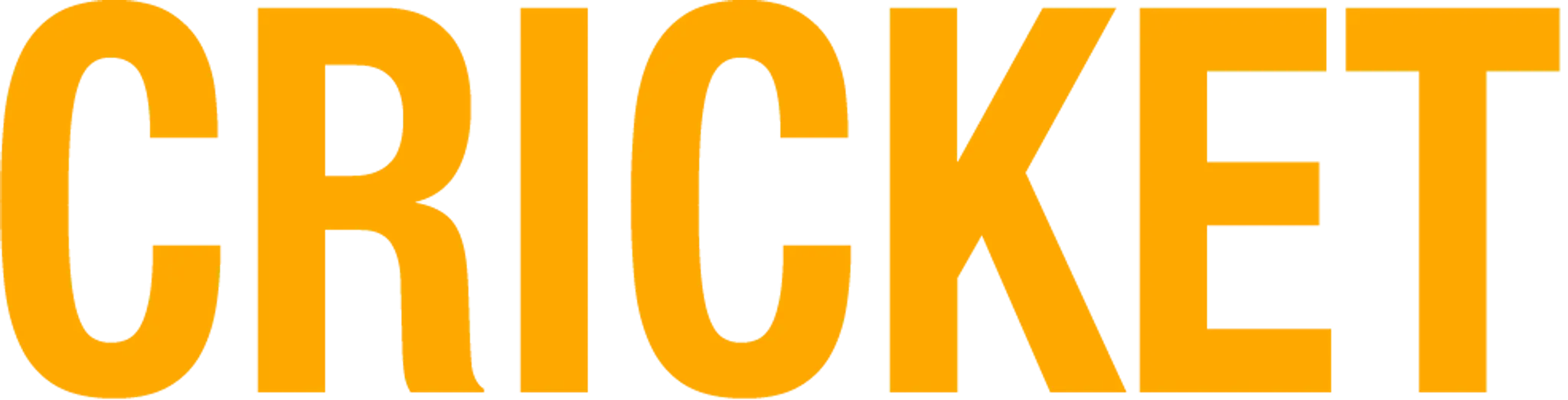 N1 cricket academy