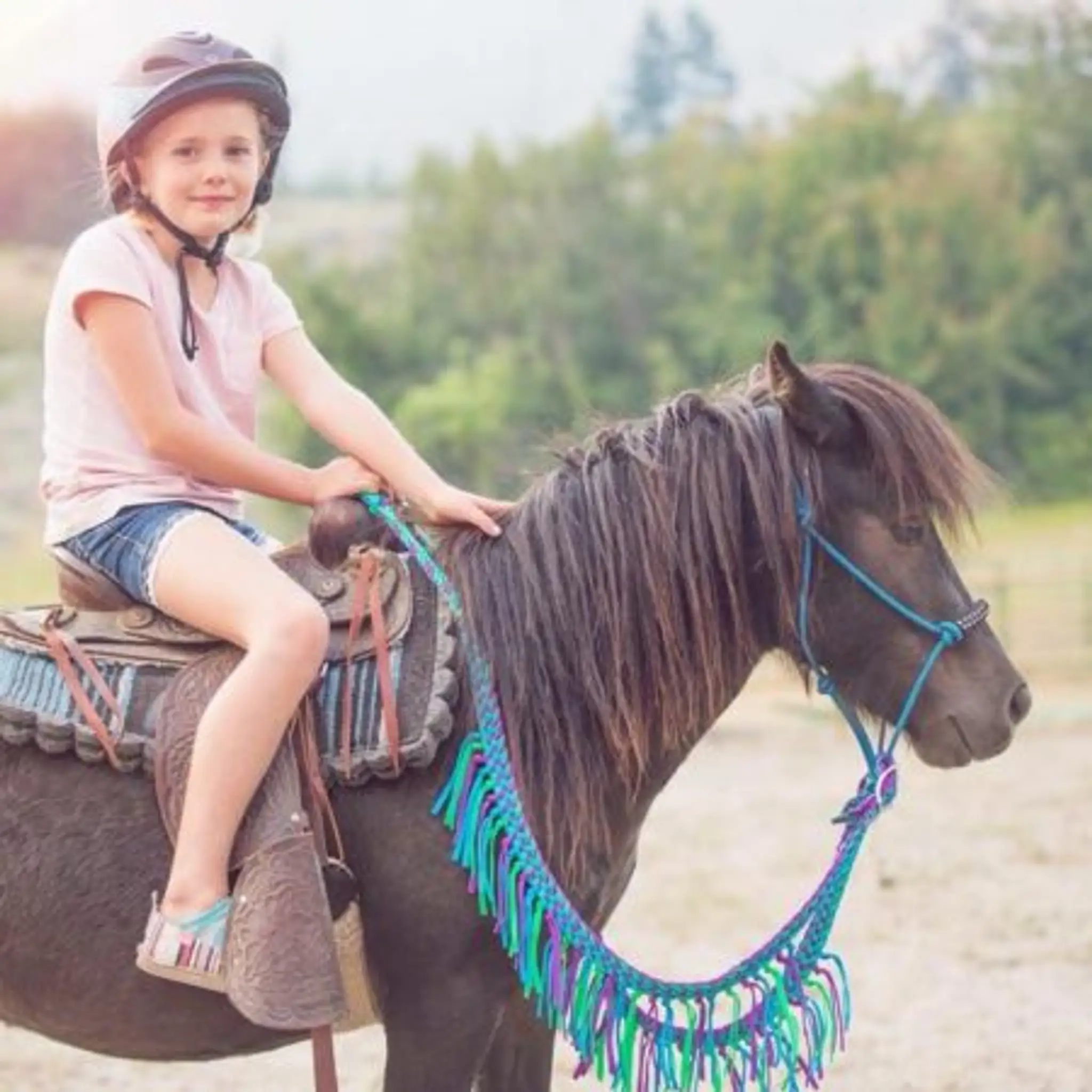 Sagebrush pony parties & events