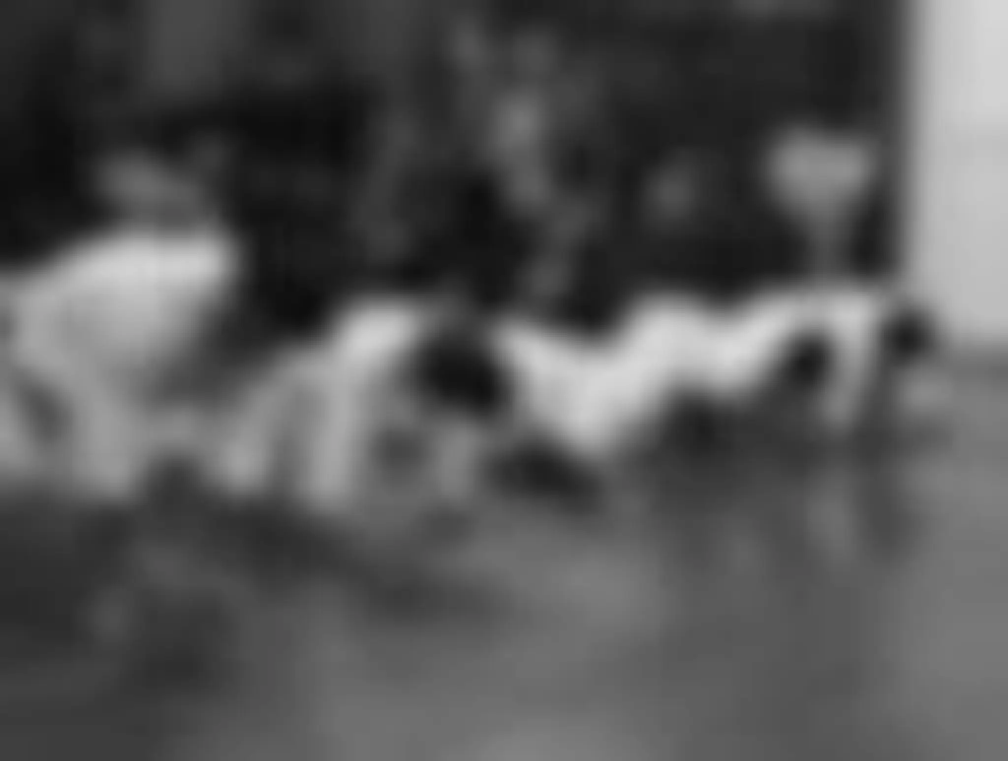 Kyokushin Karate Webster dojo