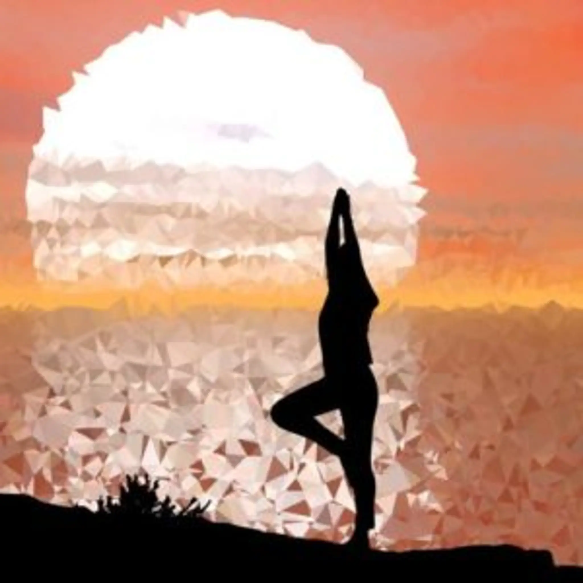 Gaia School of Yoga & Flow of Life