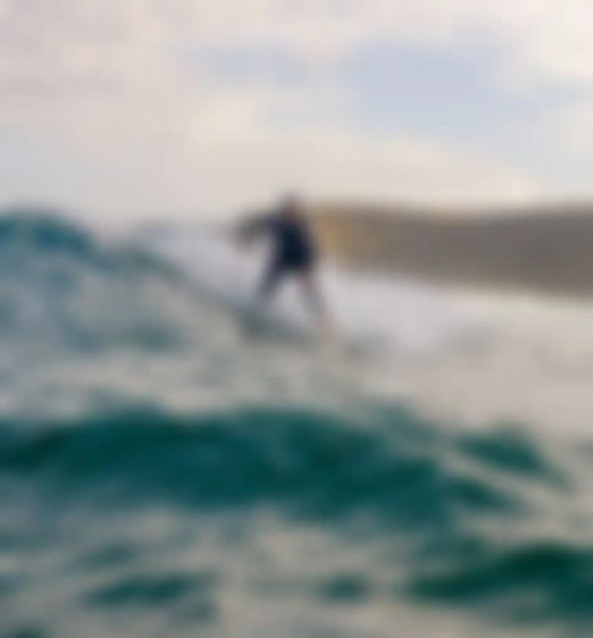 Rewilding Private Surf Coaching