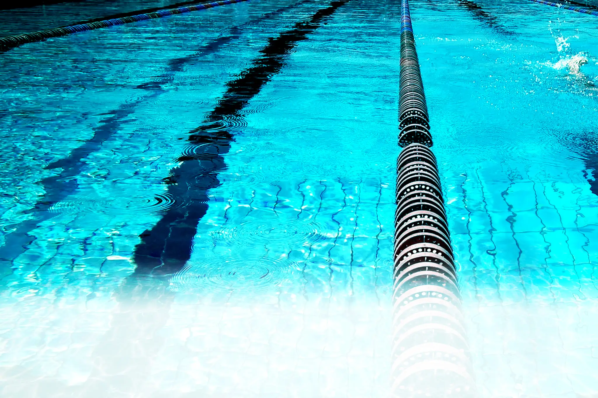 CAAA activités aquatiques Argelésiennes