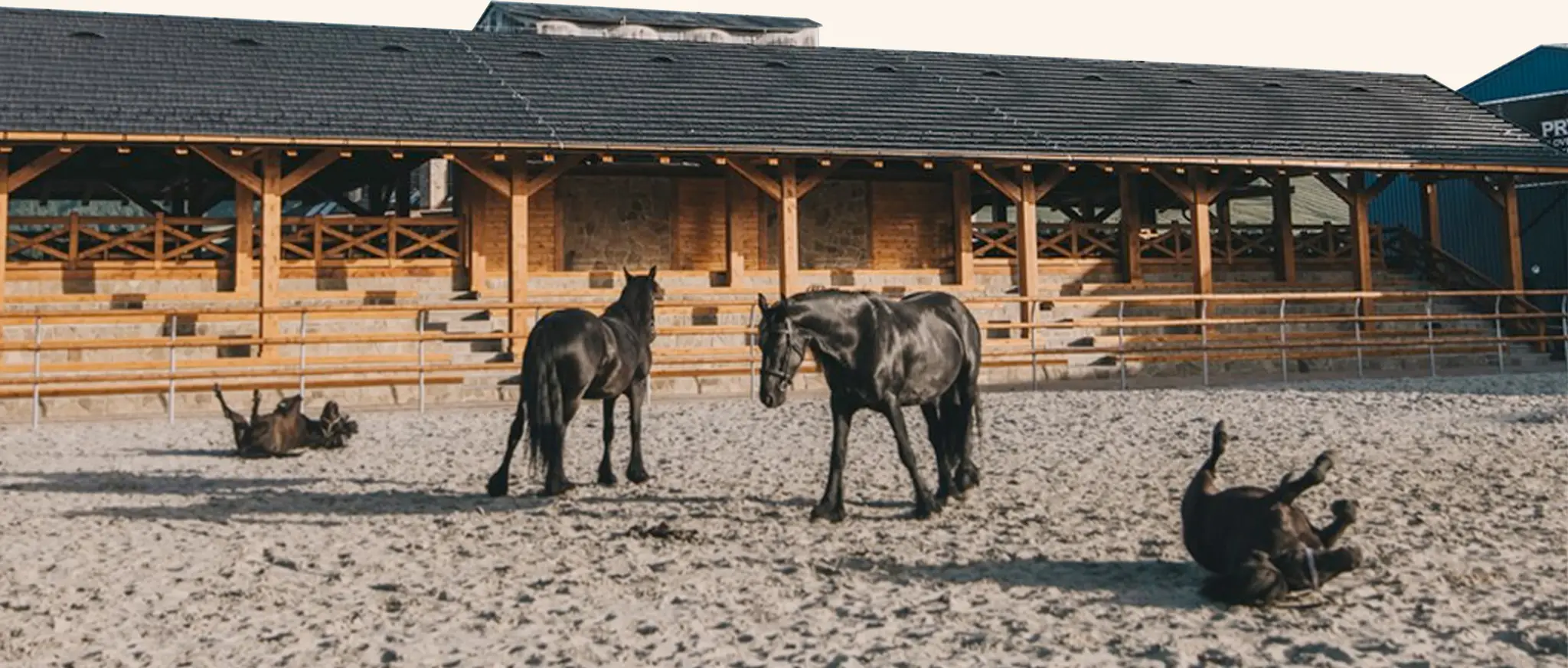 Nestville Horses