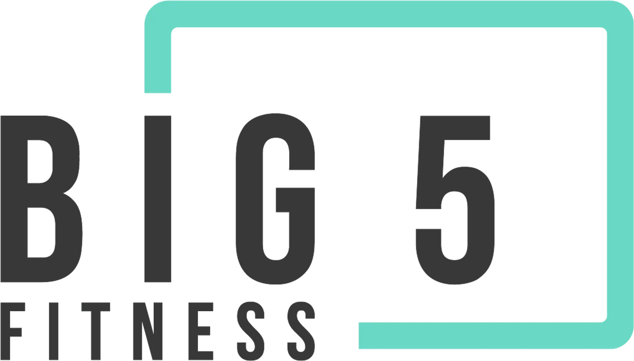 Big 5 Fitness