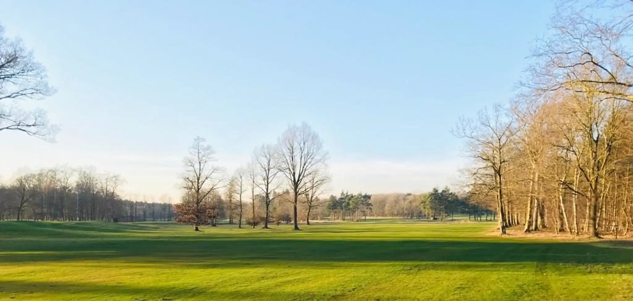 Sam Vickers Golf Performance