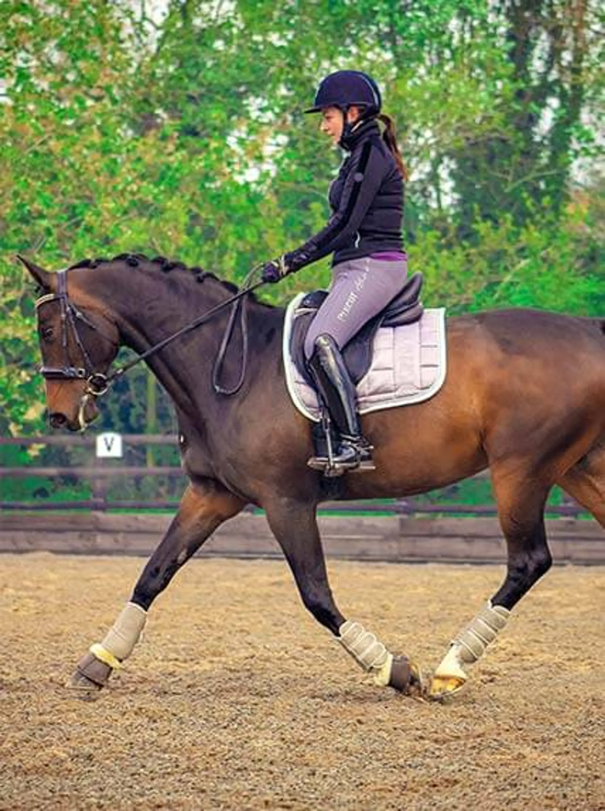 Pickering Grange Equestrian