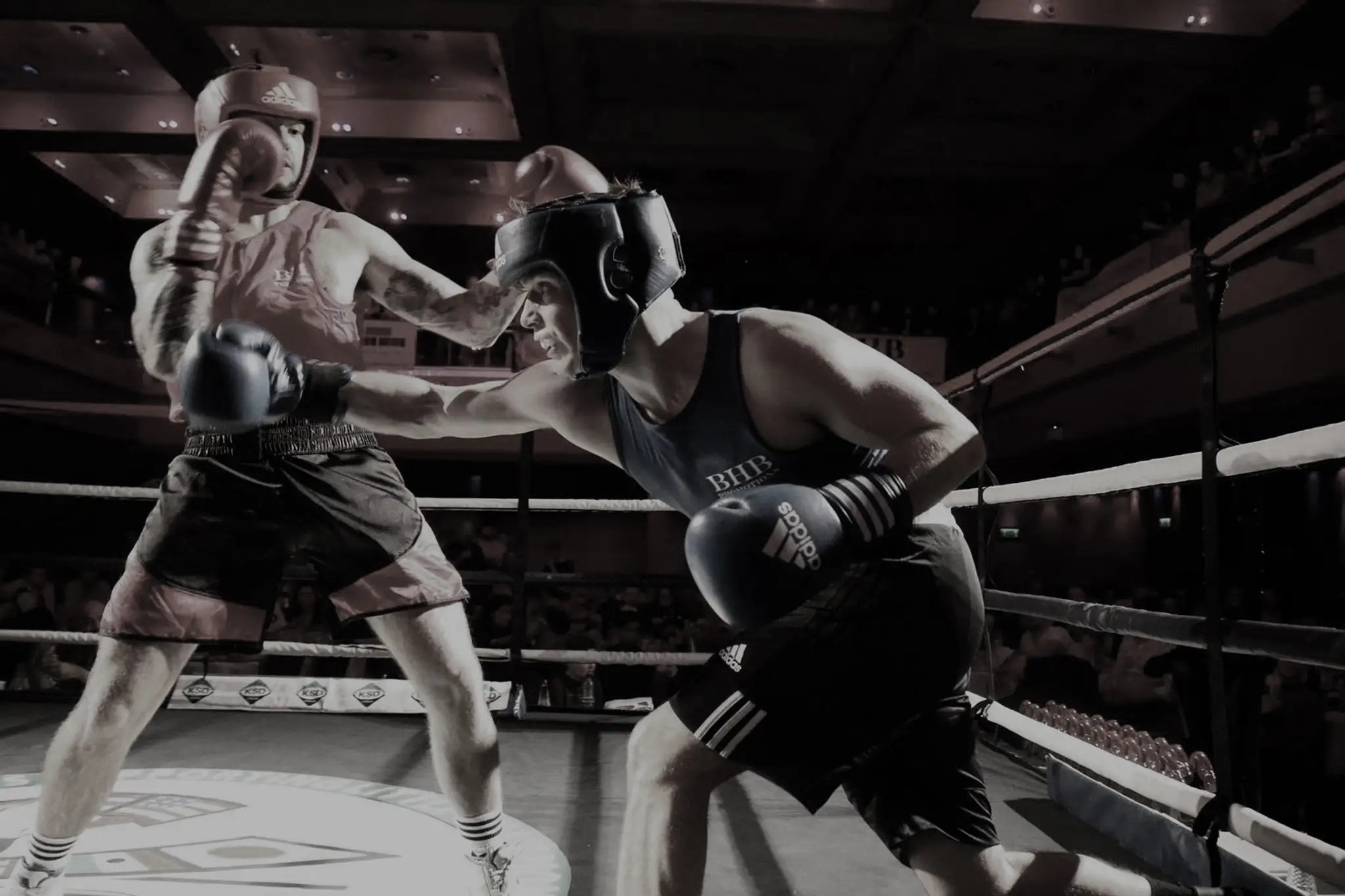 Brighton & Hove Boxing Gym