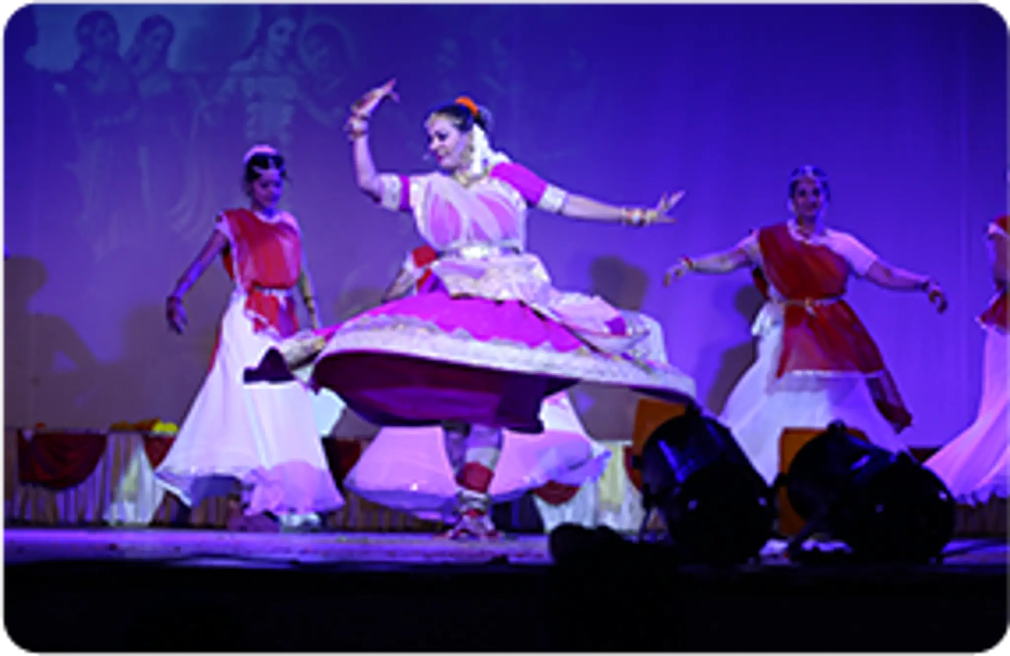 Natraj Academy of Performing Arts Pvt. Ltd.
