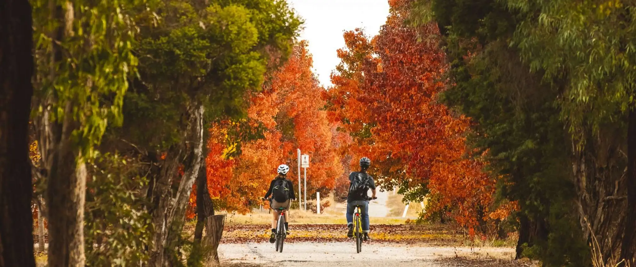 Mitchell Avenue Pump Track